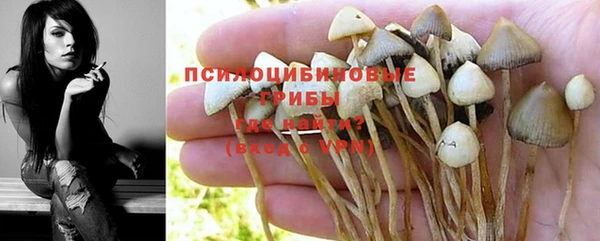 кокс Арсеньев