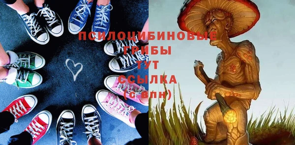 кокс Арсеньев