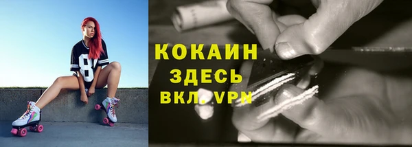 соль ск Аркадак