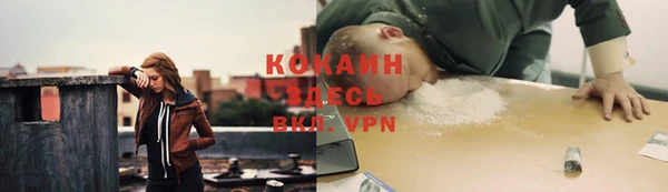 кокс Арсеньев