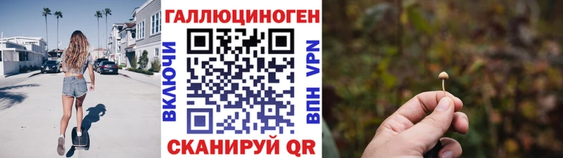 Псилоцибиновые грибы Psilocybe  наркота  Армянск 